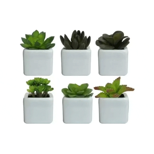 Kit Vasos Personalizados