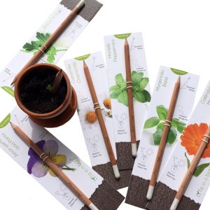 Lápis Ecológico Tempero Semente