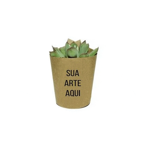 Mini Suculenta com Rótulo Personalizado