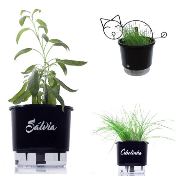 Vaso Auto Irrigável Personalizado