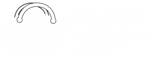 Sacola Ecológica
