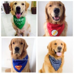 BANDANA PARA CACHORRO PERSONALIZADA85