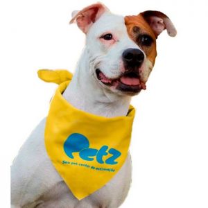 BANDANA PARA CACHORRO PERSONALIZADA859