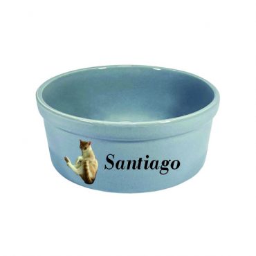 Comedouro Pet de Cerâmica para Comes 500 ml