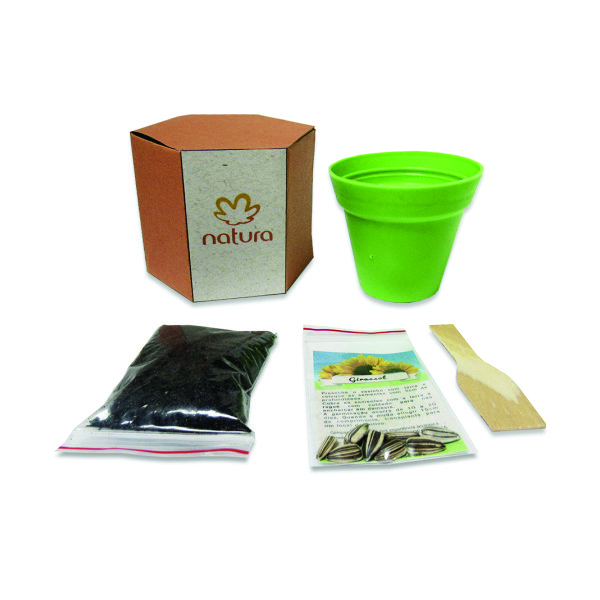 Kit Cultivo Semente Personalizado
