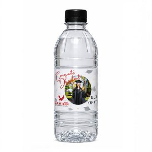 Água Mineral 240ML Promocional