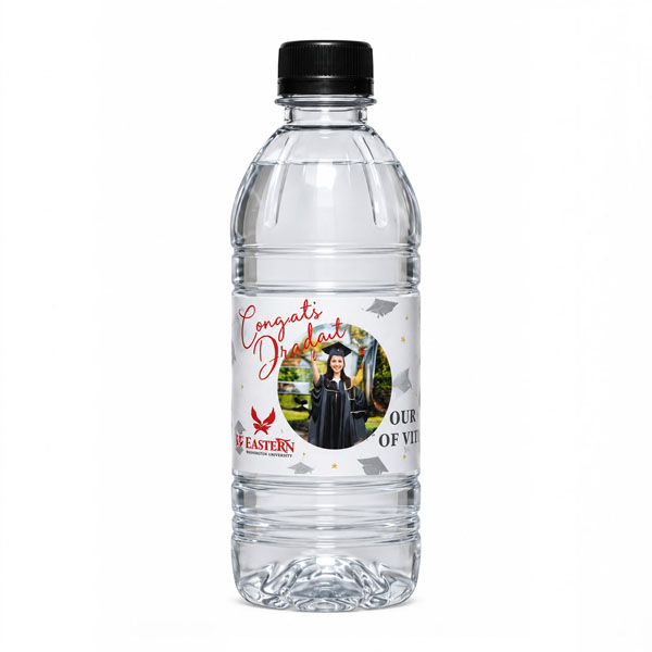 Água Mineral 240ML Promocional
