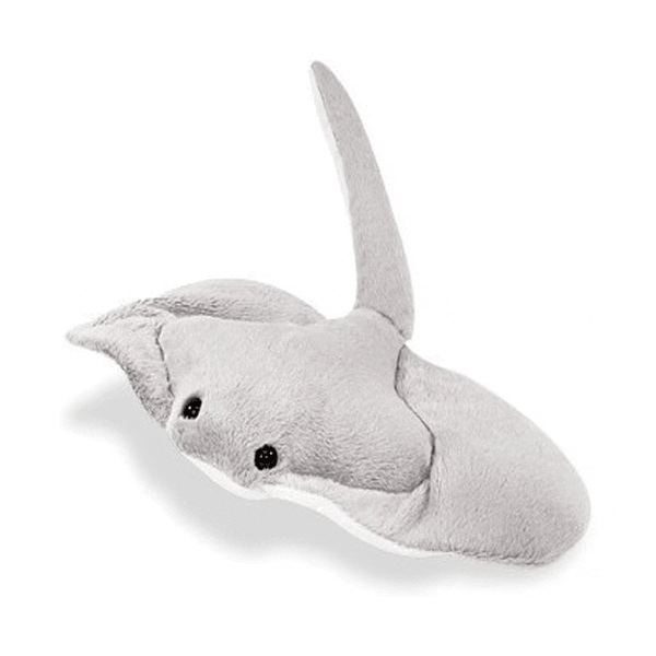 Arraia de Pelúcia Personalizada