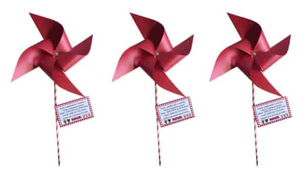 Catavento de Papel Modelo Convite