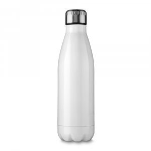 Garrafa Inox 750ml