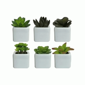 Kit Vasos Personalizados