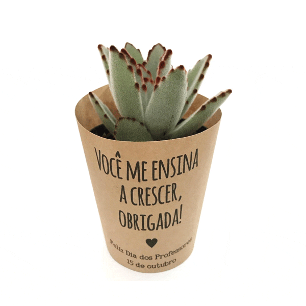 Mini Suculenta com Rótulo Personalizado