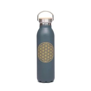 Squeeze Inox 700ml - Qualidade e Estilo para suas Bebidas