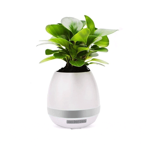 Vaso de Planta Musical com Bluetooth Personalizada