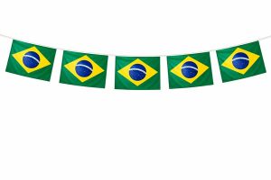 Bandeira plastico 3 - personalizada
