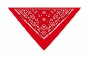 bandana pet 3 - personalizada