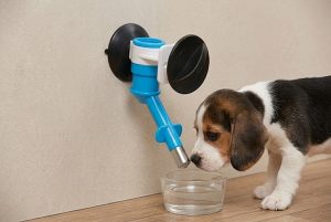 bebedouro 2 - personalizado